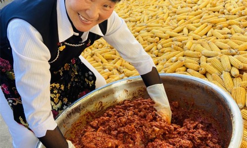 美国FDA批准的妊娠B类药-FDA妊娠药物分级新旧标准对比专区_fda妊娠用药指南专区_美国fda将妊娠期用药分为网