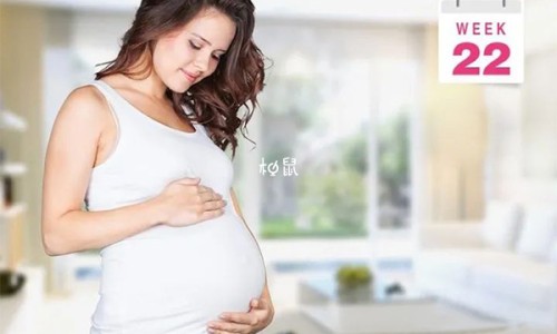 FDA妊娠药物分级新旧标准对比专区_fda妊娠用药指南专区_美国fda将妊娠期用药分为网